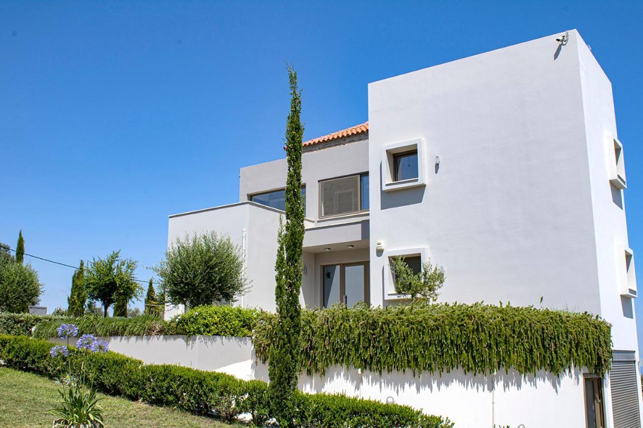 Villa Arion Krini Amnátos Exterior foto